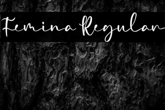 Femina Regular Font examples