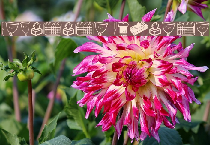 Feminine Hygiene Example 2