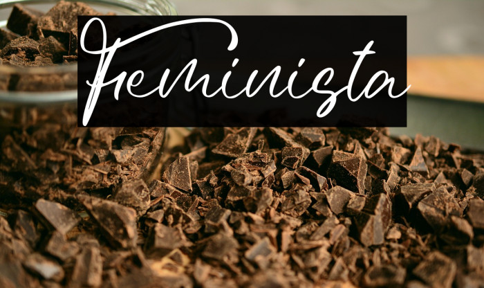 Feminista Example 3