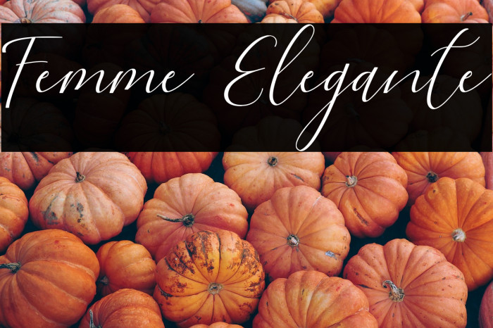 Femme Elegante Example 1