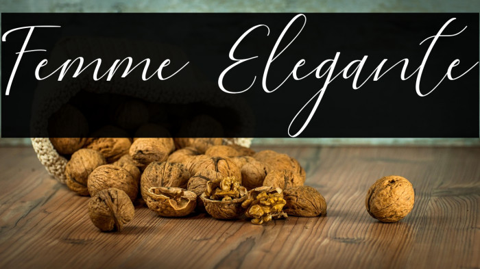 Femme Elegante Example 2