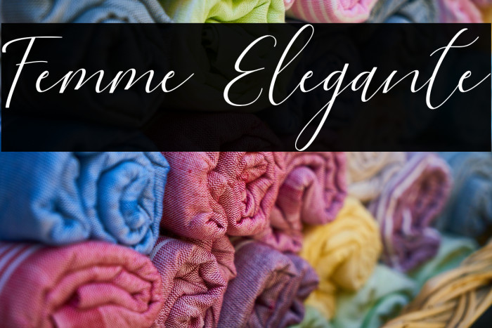 Femme Elegante Example 3