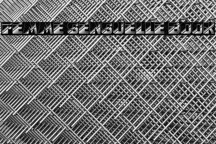 Femme Sensuelle Book Example 1