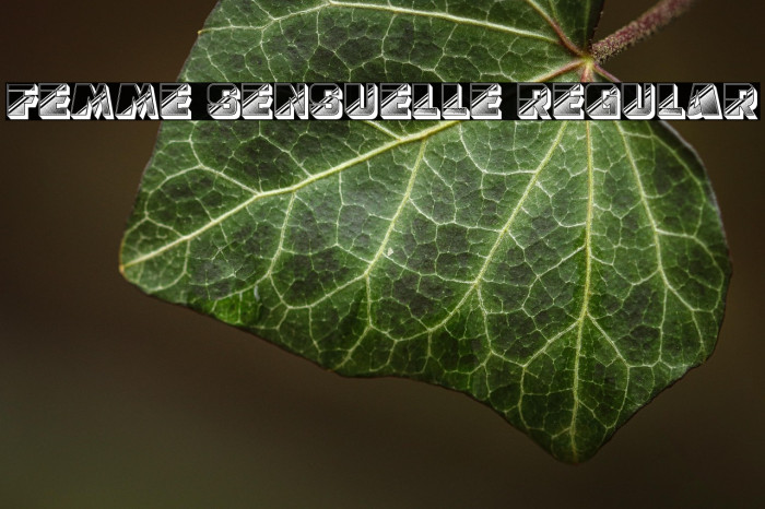 Femme Sensuelle Regular Example 2