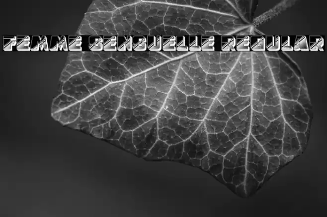 Femme Sensuelle Regular Font examples