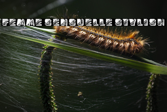 Femme Sensuelle Stylish Example 1