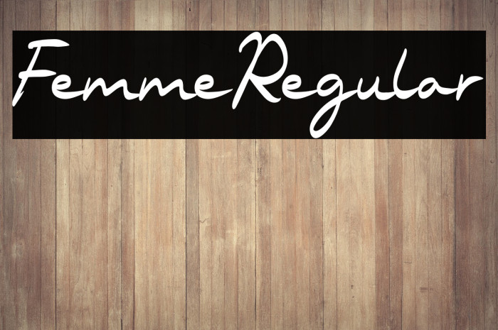 FemmeRegular Example 1