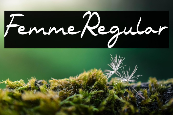 FemmeRegular Example 2