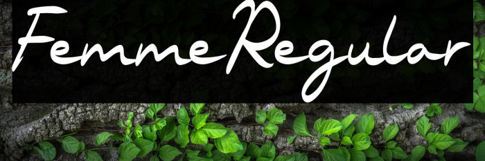 FemmeRegular Example 3
