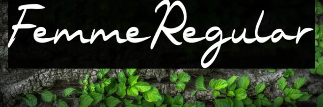 FemmeRegular Example 3