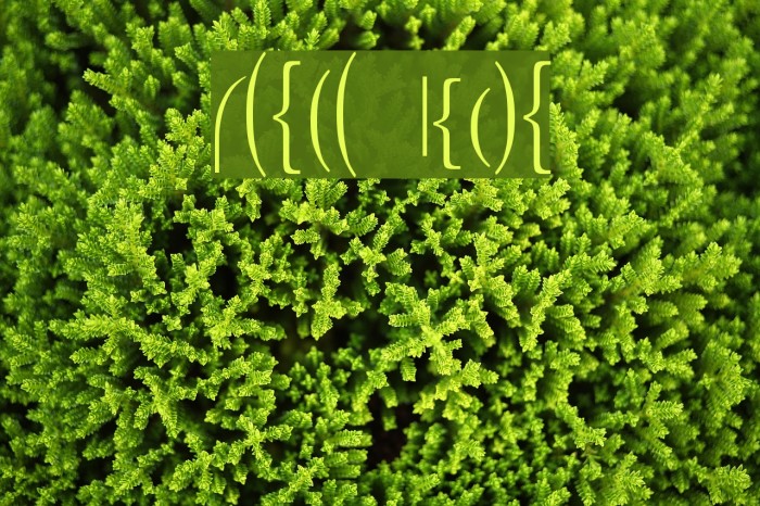 Fences Plain Font examples
