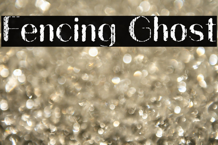 Fencing Ghost Example 2