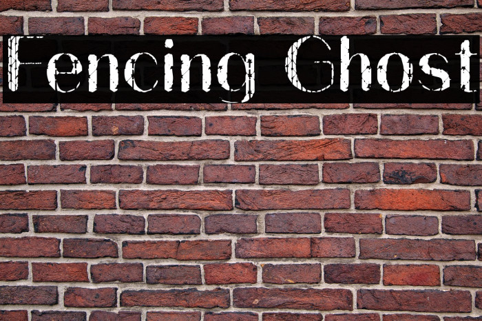 Fencing Ghost Example 3