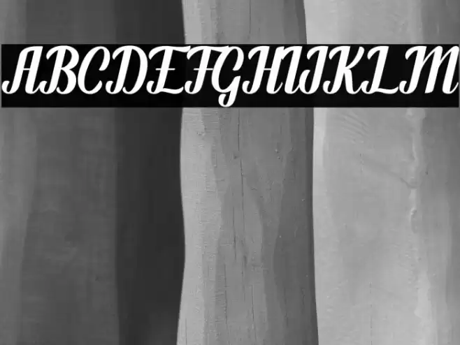 Fendysa Font examples