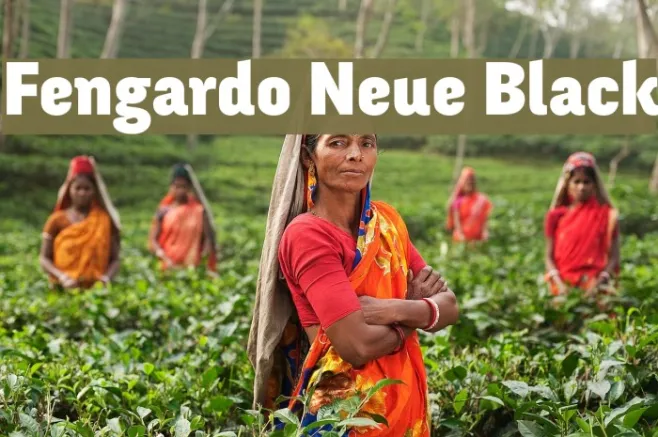Fengardo Neue Black Example 1