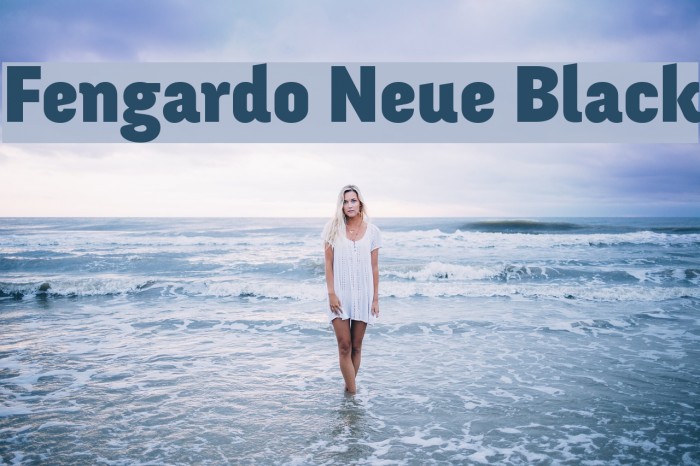 Fengardo Neue Black Font examples