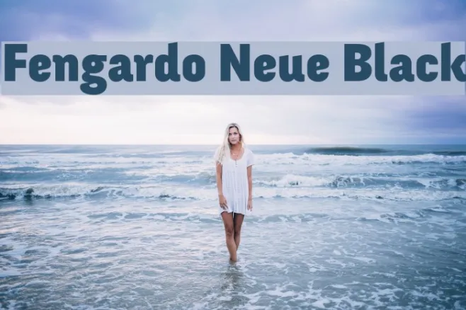 Fengardo Neue Black Example 2
