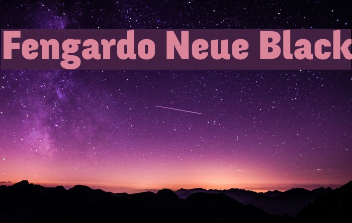Fengardo Neue Black Font examples