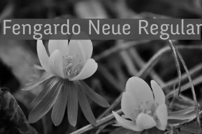 Fengardo Neue Regular Font examples
