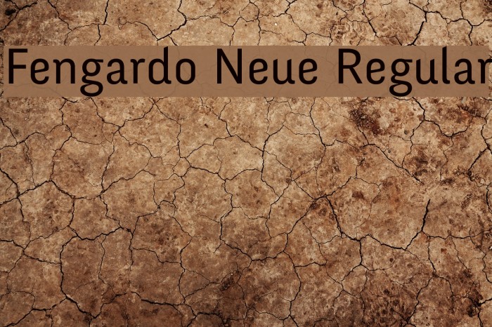Fengardo Neue Regular Example 2