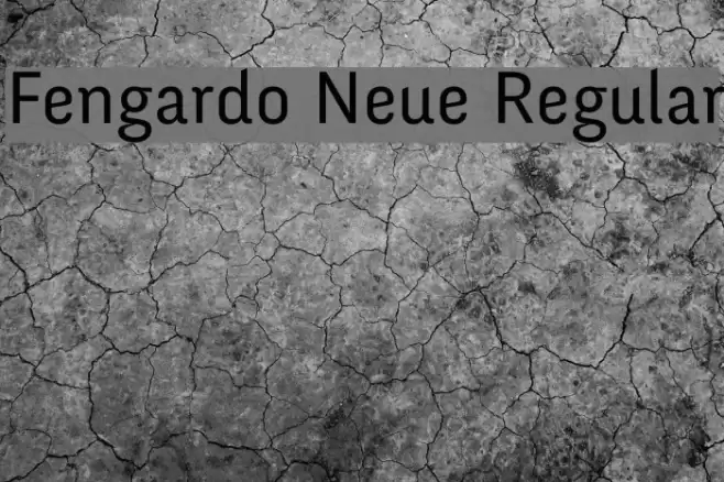 Fengardo Neue Regular Font examples