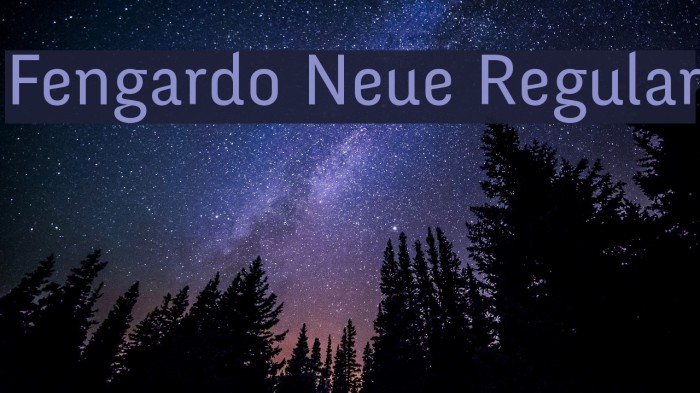 Fengardo Neue Regular Example 3