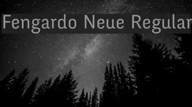 Fengardo Neue Regular Font examples