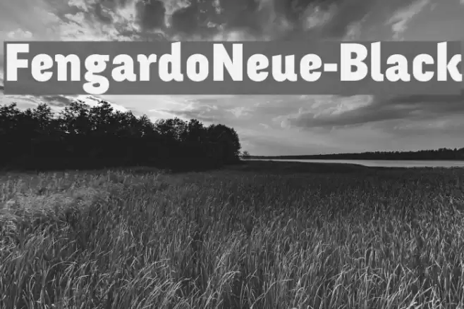 FengardoNeue-Black Font examples