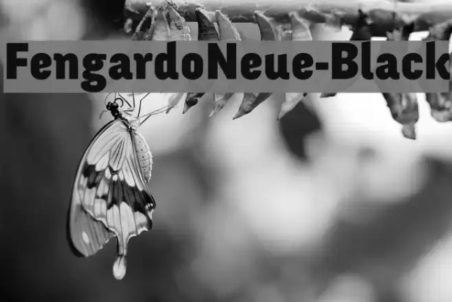 FengardoNeue-Black Font examples