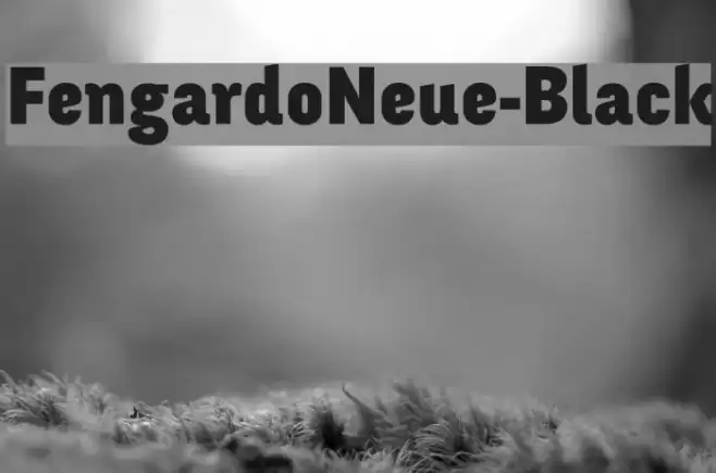 FengardoNeue-Black Font examples