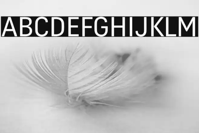 FengardoNeue Font examples