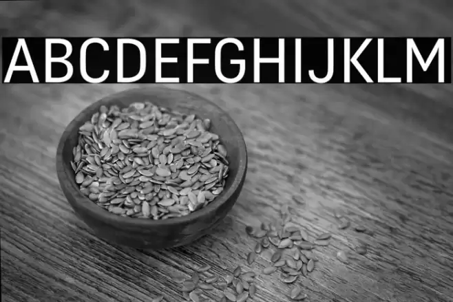 FengardoNeue Font examples