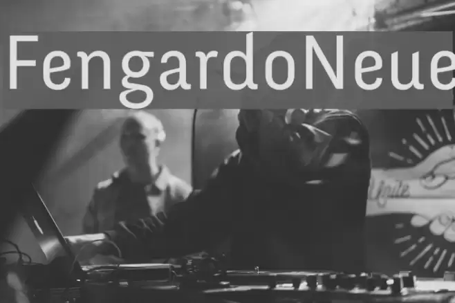 FengardoNeue خط examples