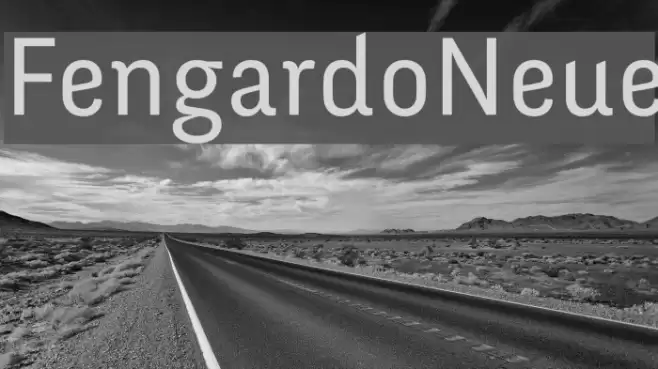 FengardoNeue خط examples