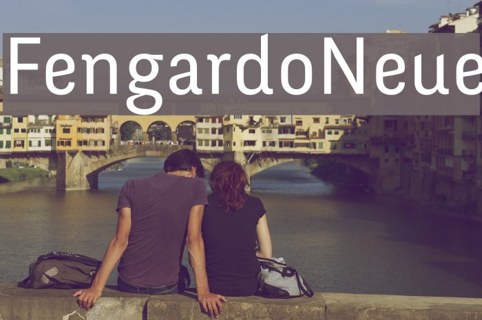 FengardoNeue لخطوط تنزيل examples