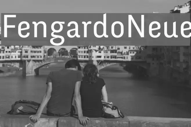 FengardoNeue خط examples