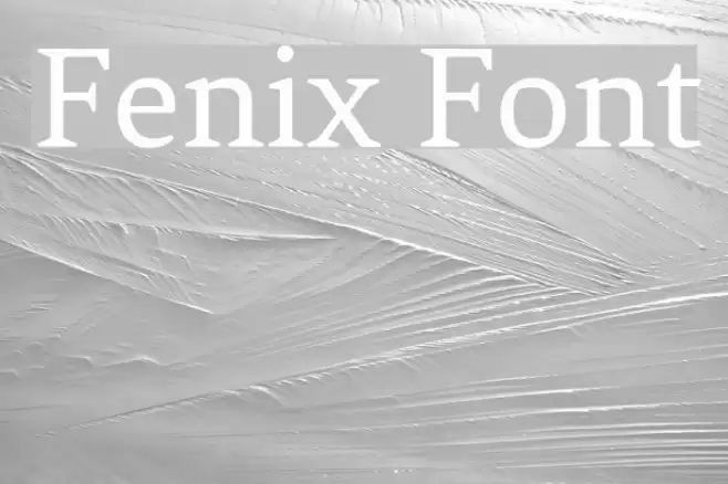 Fenix Font examples