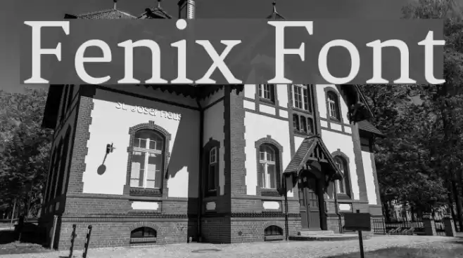 Fenix Font examples