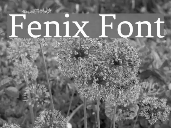 Fenix Font examples