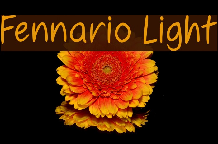 Fennario Light Font examples