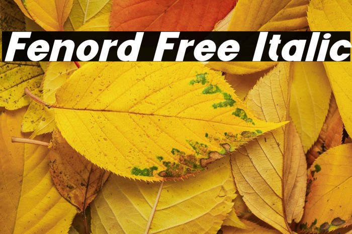 Fenord Free Italic Example 1