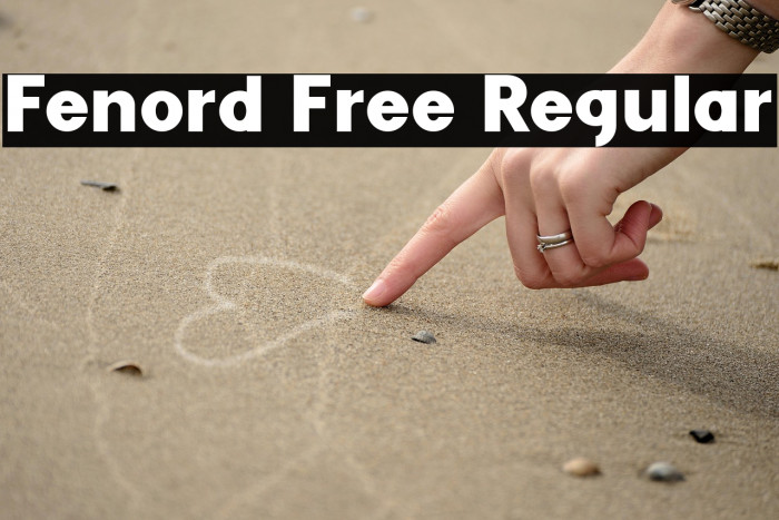 Fenord Free Regular Example 2