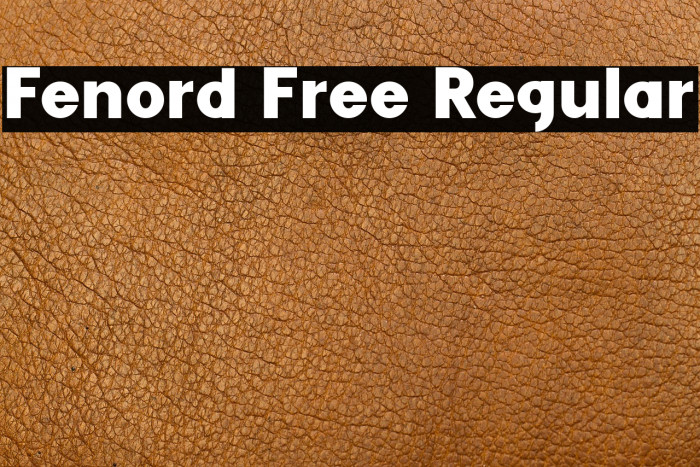 Fenord Free Regular Example 3