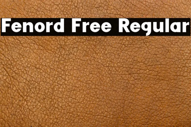 Fenord Free Regular Example 3