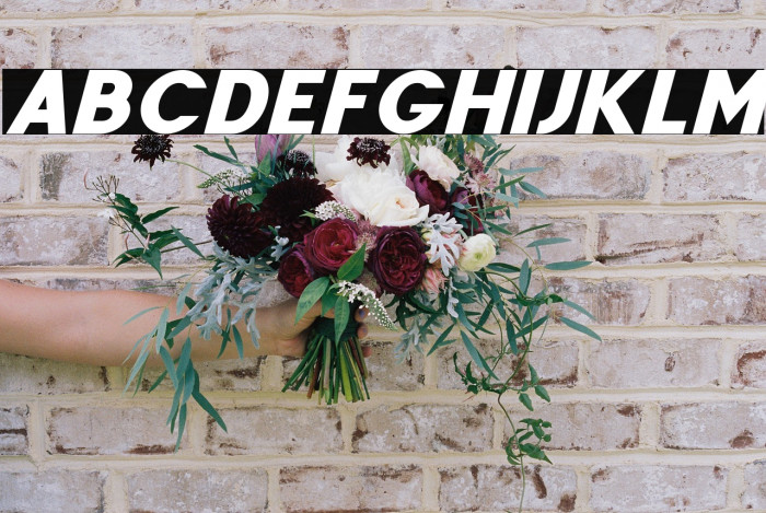 FenordFree-Italic Example 1