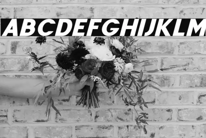 FenordFree-Italic Font examples