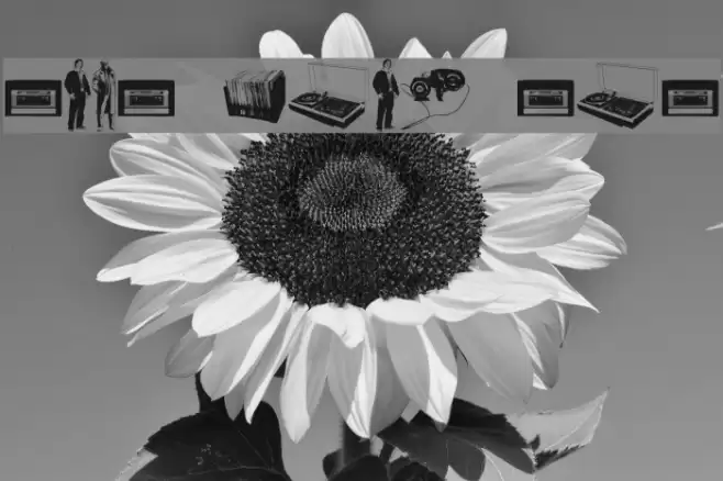 Fenotype dings preview Font examples