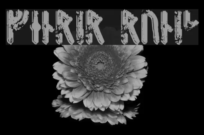 Fenrir Runic Font examples