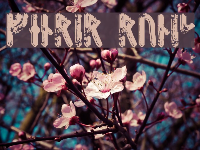 Fenrir Runic Example 2