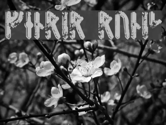 Fenrir Runic Font examples